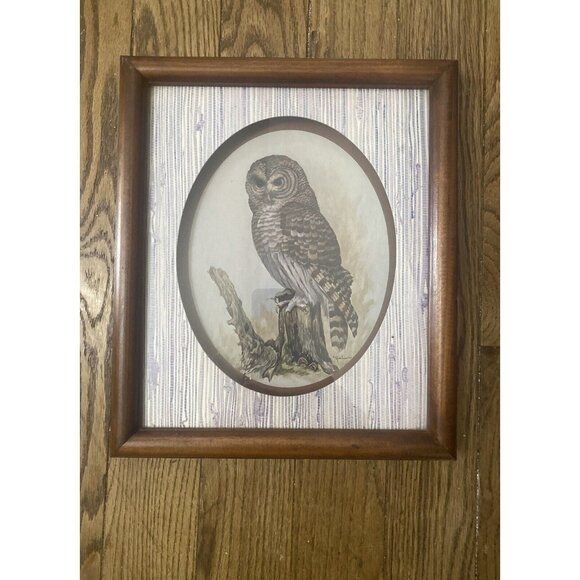 Vtg Rustic Owl Shadow Box Framed Matted Art by Artist E. Rambow with Signature - Picture 5 of 5